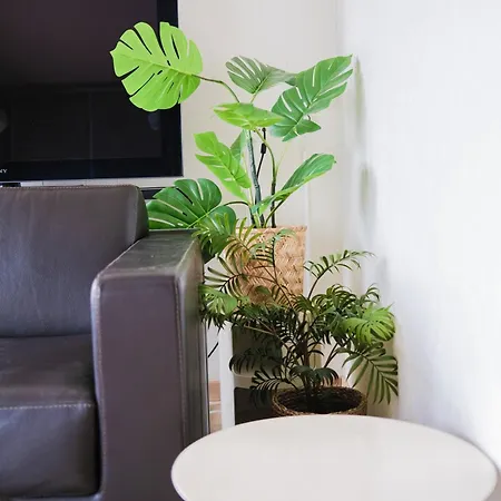 Holiday Vibes! Penthouse-studio Near Beach Oostende